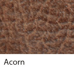 Acorn