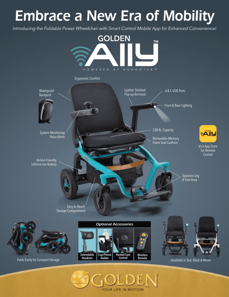 GP303-Ally-Callouts-Flyer-1-1-791x1024