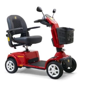 Companion Full Size Scooter